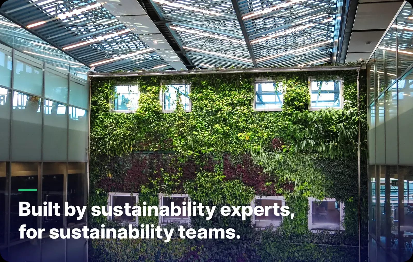 Green plant wall in a modern office with the claim Built by sustainability experts, for sustainability teams